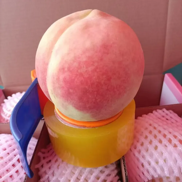 自家产肥城桃珍品王中大果六个装新鲜现摘现发
