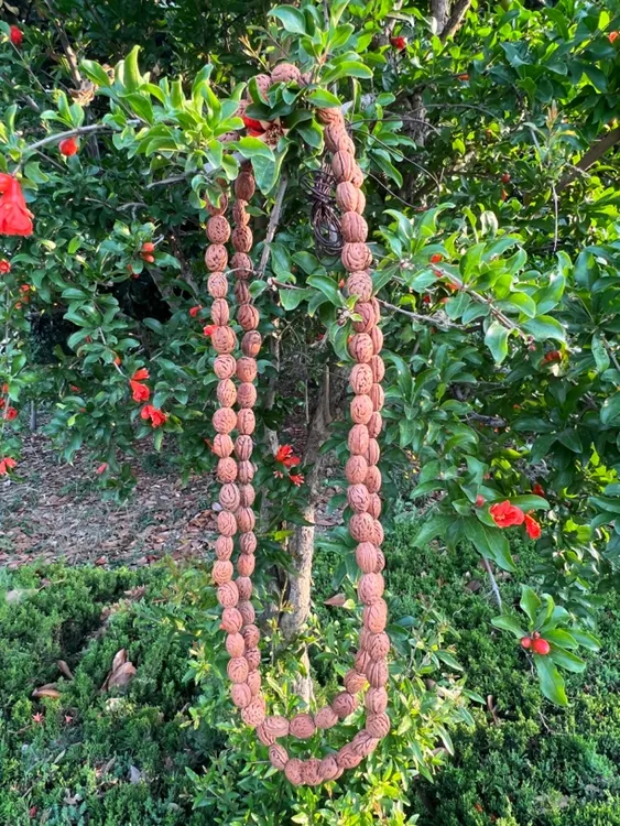 正宗天然毛桃桃枭正月采摘108颗手工打磨手持盘玩手把件手串脖挂