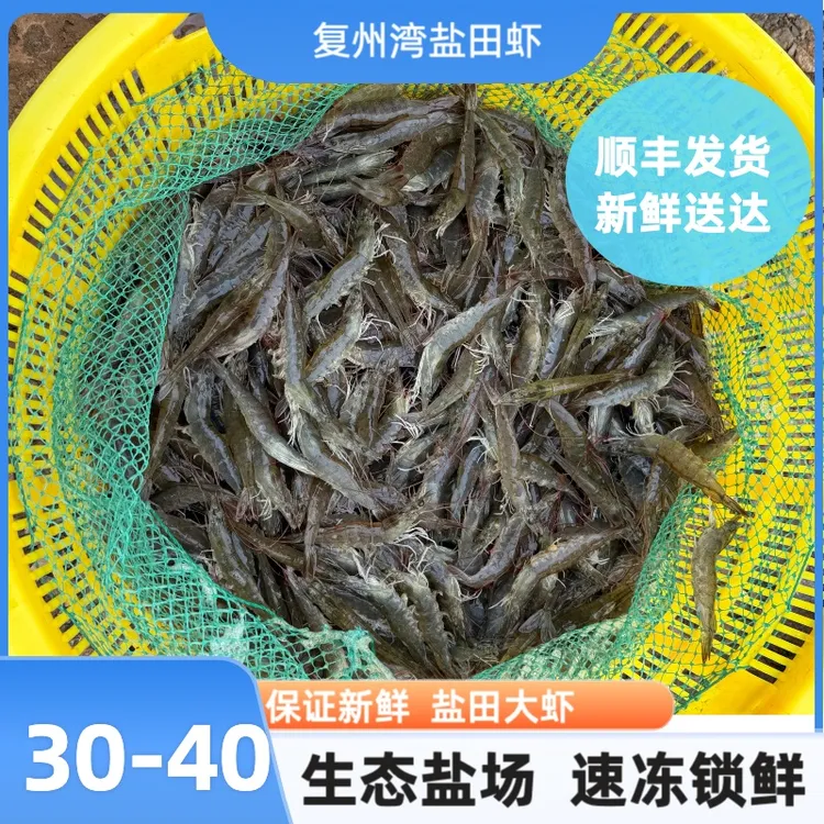 【回购款】正宗大连复州湾盐田虾30-40 顺丰发货  保鲜不保活