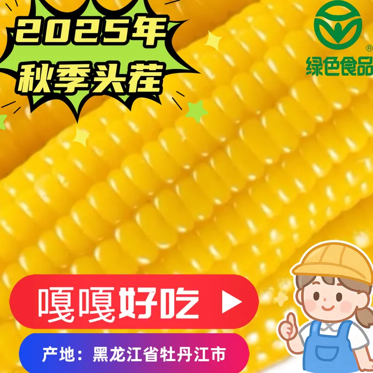 25头茬良田谣可试吃2根东北粘糯黄糯玉米香甜软糯绿色食品A级