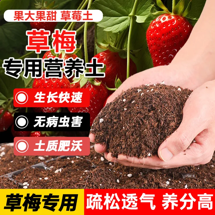 【草莓专用土】营养土种花种菜土壤家庭疏松透气营养土育苗专用土