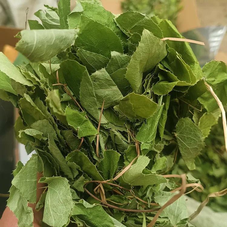 甘肃小圆叶深山高海拔采摘自然晾晒高含量淫羊藿干货