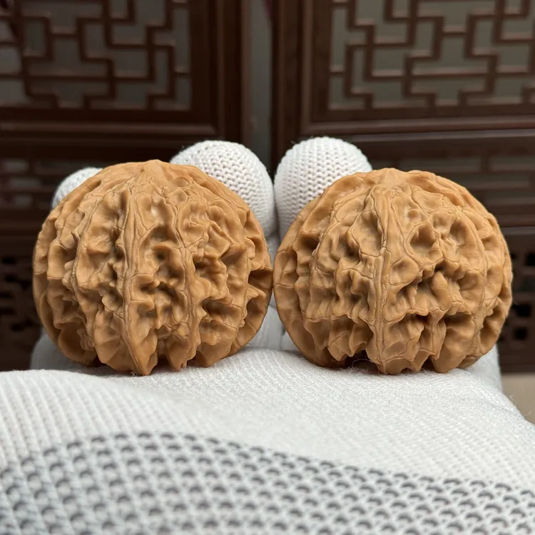 精选苹果园狮子头，边43.5肚43高36，一代老树苹果园，全品一物一图