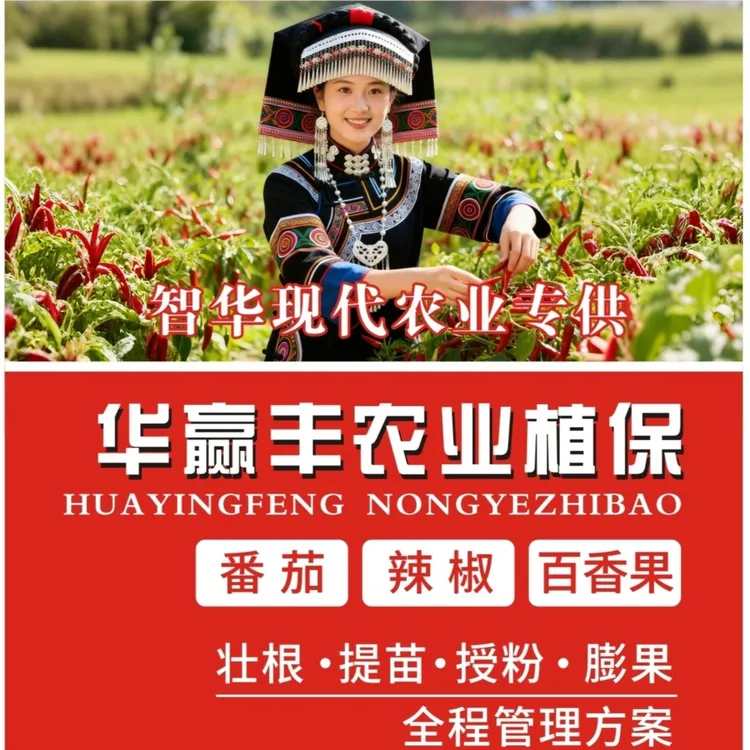 天晶壹号授粉套餐20桶水超值可点可喷果帽长厚靓