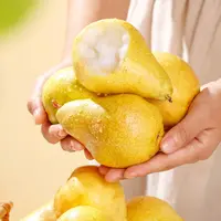 【侬乡食】烟台太婆梨 单果120g+4.5斤装（约9-15个）