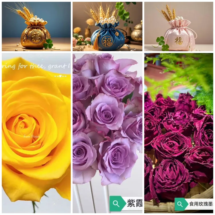 契机食用墨红。紫霞仙子。再加3个随机品种共6棵，不支持备注不包活！