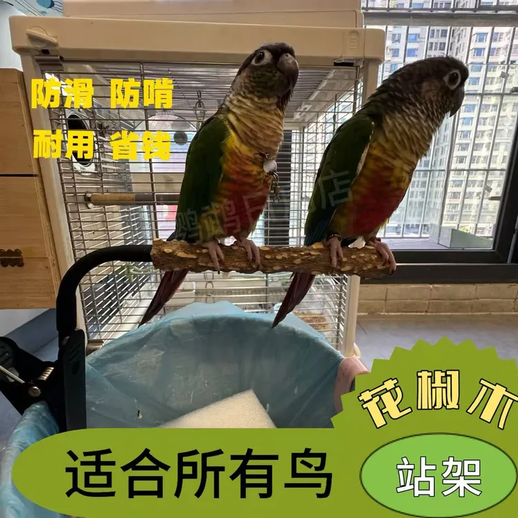 鹦鹉花椒木金属万能站架定点排便360度随意弯曲训练技能神器