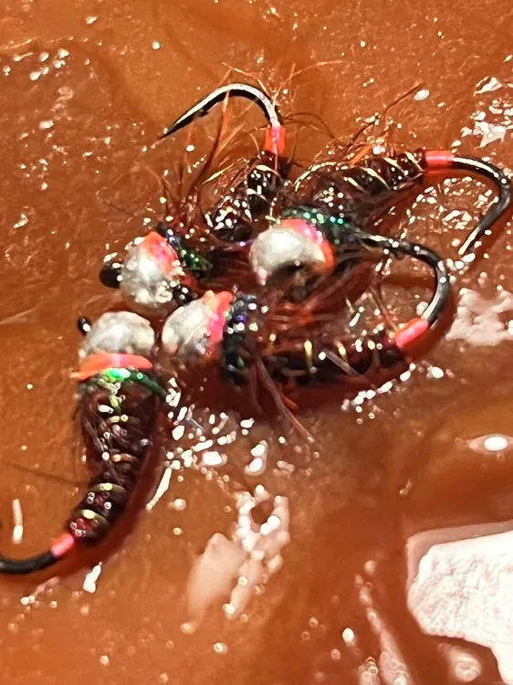 赤霄若虫钩一百豆十枚 可混搭 