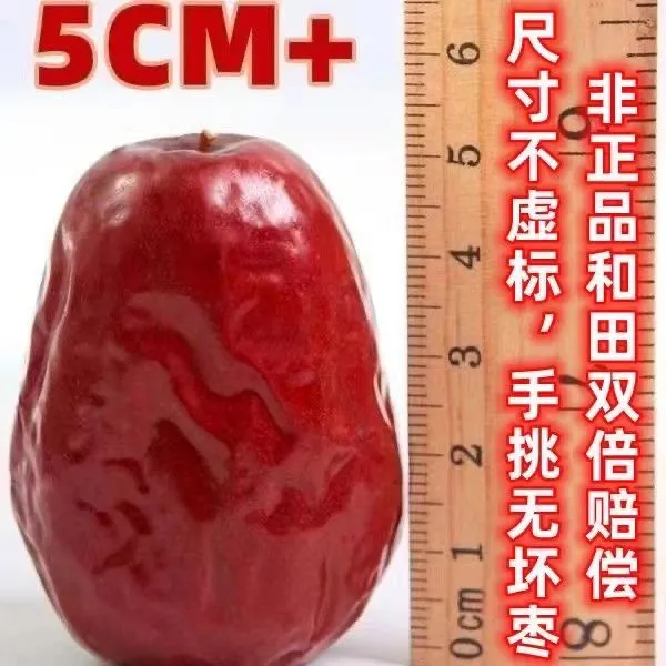 够大够甜正宗新疆和田大枣和田玉枣新枣爆甜红枣大个红枣