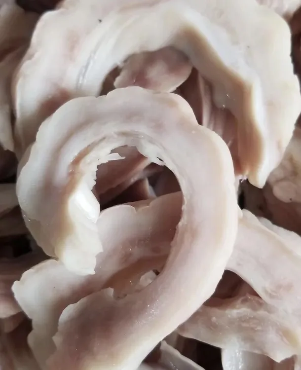 新鲜爽口脆嫩鲨鱼肚爆炒红烧 新鲜发货 （5斤）