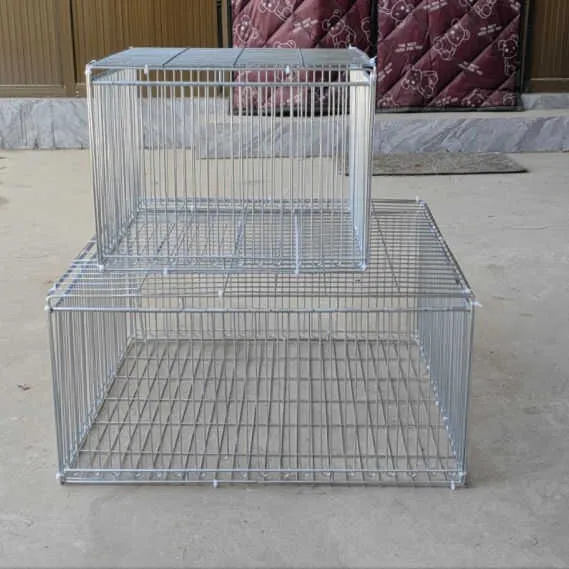 室外笼家禽大号家用回收进不出只加密专用鸽鸡笼子散养兔收鸽笼鸽