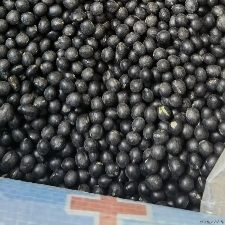 绿心非转基因黑豆农村自家种植没抛光没打蜡自然成熟没有膨打豆浆