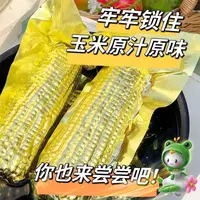 试吃2根2025年头茬东北新鲜采摘黄糯玉米拍8送2共10支整箱6斤以上