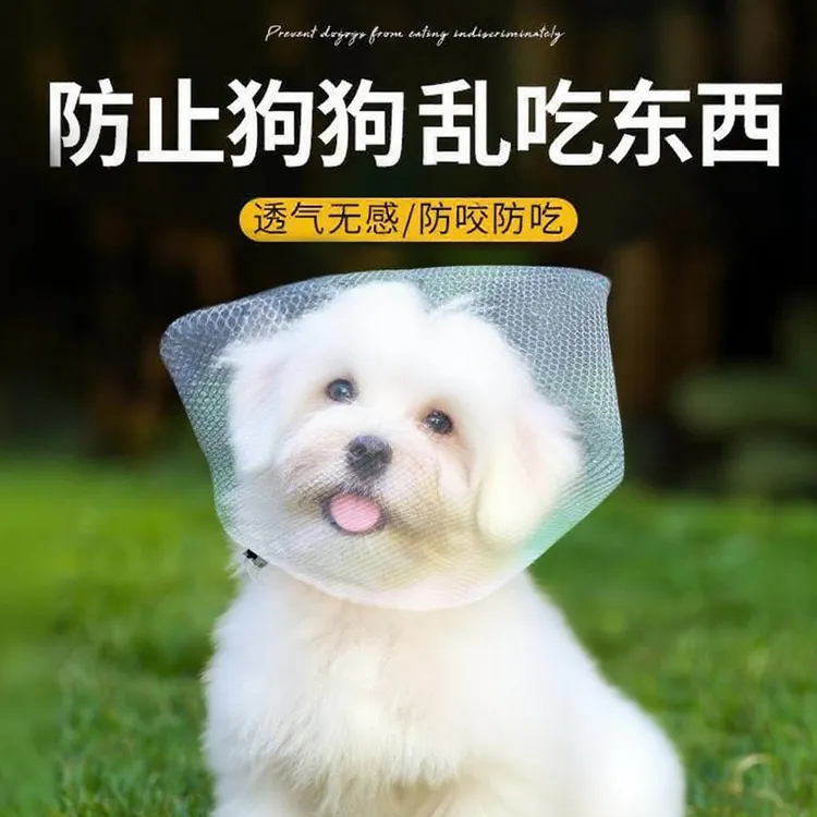 防止狗狗乱吃东西狗狗嘴套防咬乱吃嘴罩防舔网套小型父亲口罩神器
