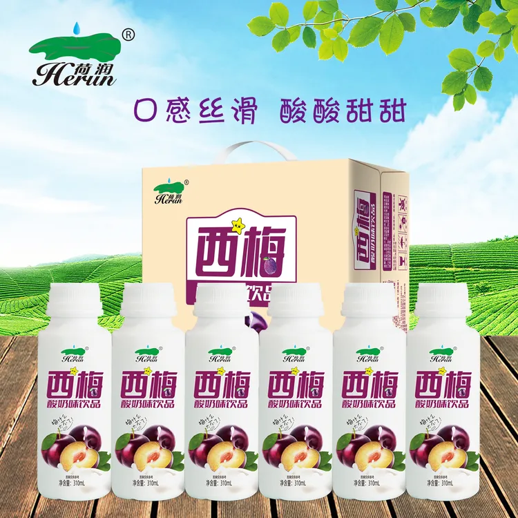 【保质期到6月】荷润西梅酸奶310ml*6瓶礼盒装西梅奶昔西梅多多