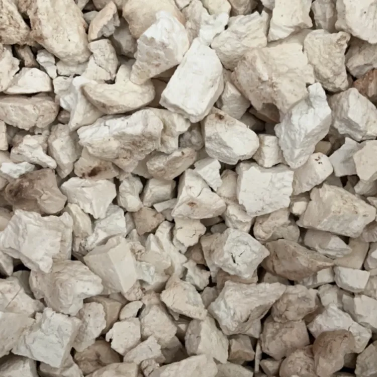 甘肃高原干货老～茯苓