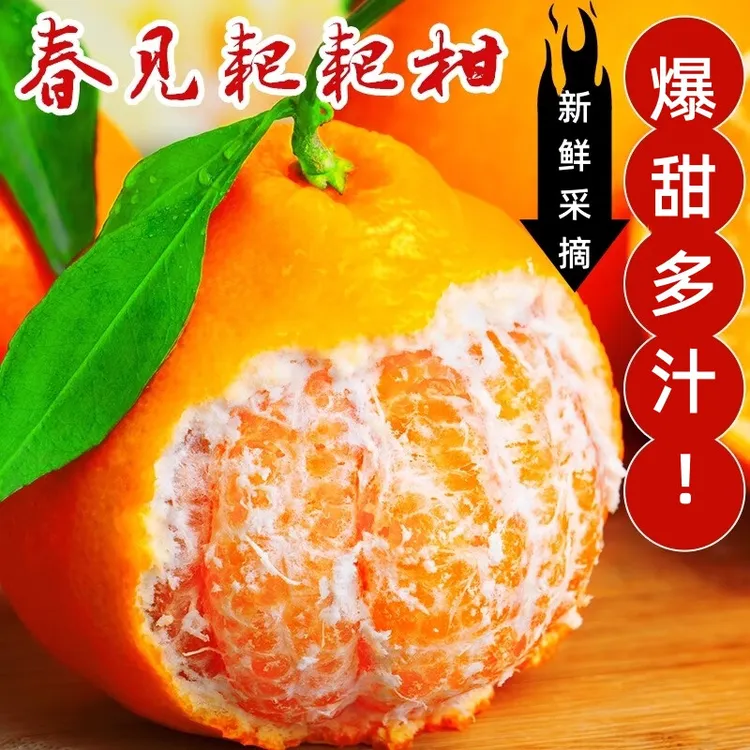 【顺丰包邮】四川春见耙耙柑丑橘现摘爆汁橘子新鲜水果桔子纯甜包邮