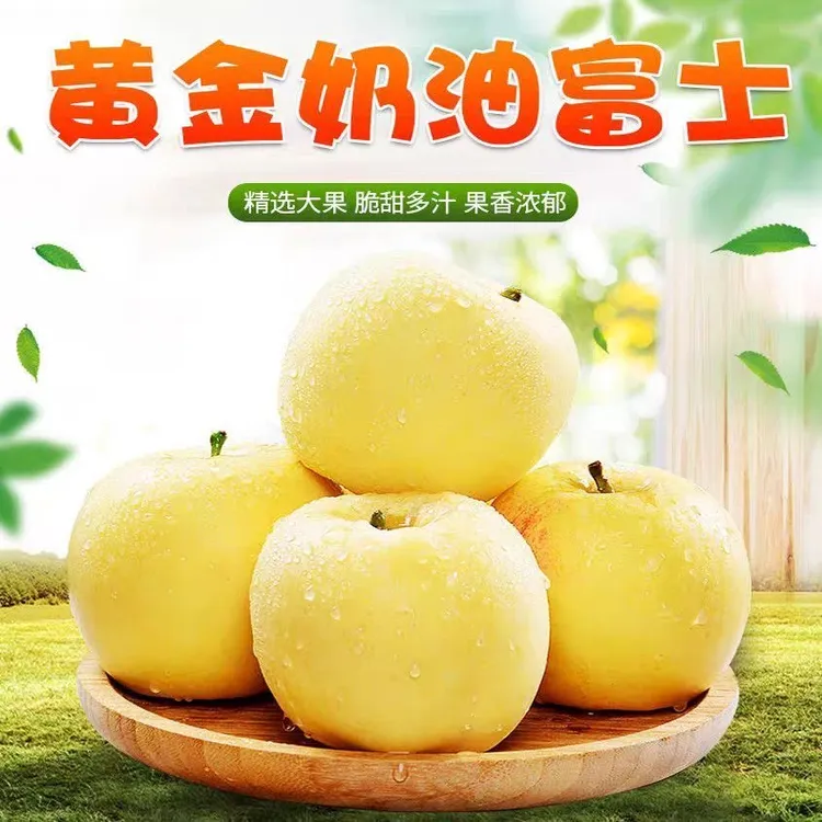 【顺丰包邮】砀山苹果2025现摘黄金奶油富士多汁香甜 中大果