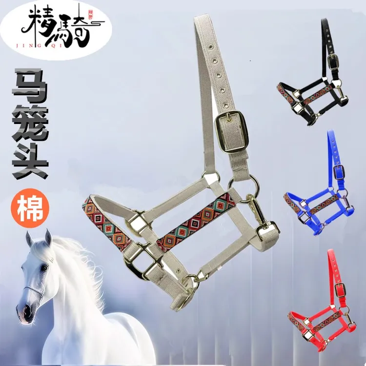 新款马笼头 纯棉防磨材质 精骑马术用品 牵马笼头马鞍配件