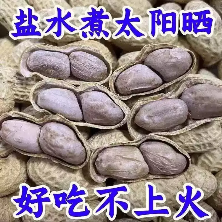 水煮白晒龙岩花生盐水咸干带壳坚果软糯鲜香不上火