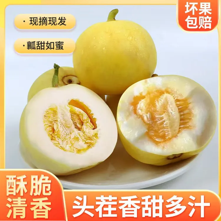 【顺丰上门】山东头茬小蜜蜂甜瓜早甜脆香瓜小蜜罐新鲜直供香甜水果