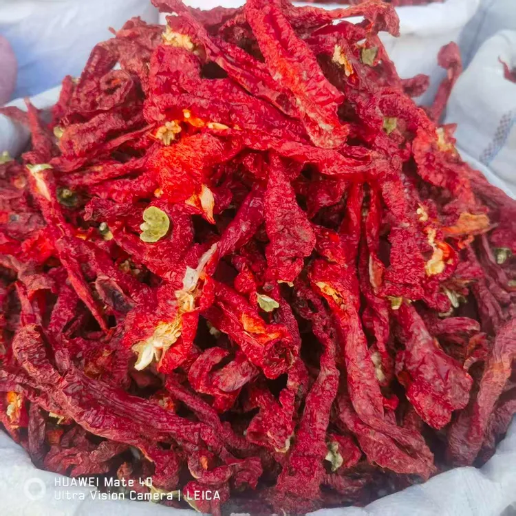 彩小柴/彩小柴新疆焉耆县螺丝椒肉辣椒2025年新货，辣皮子拌面辣椒
