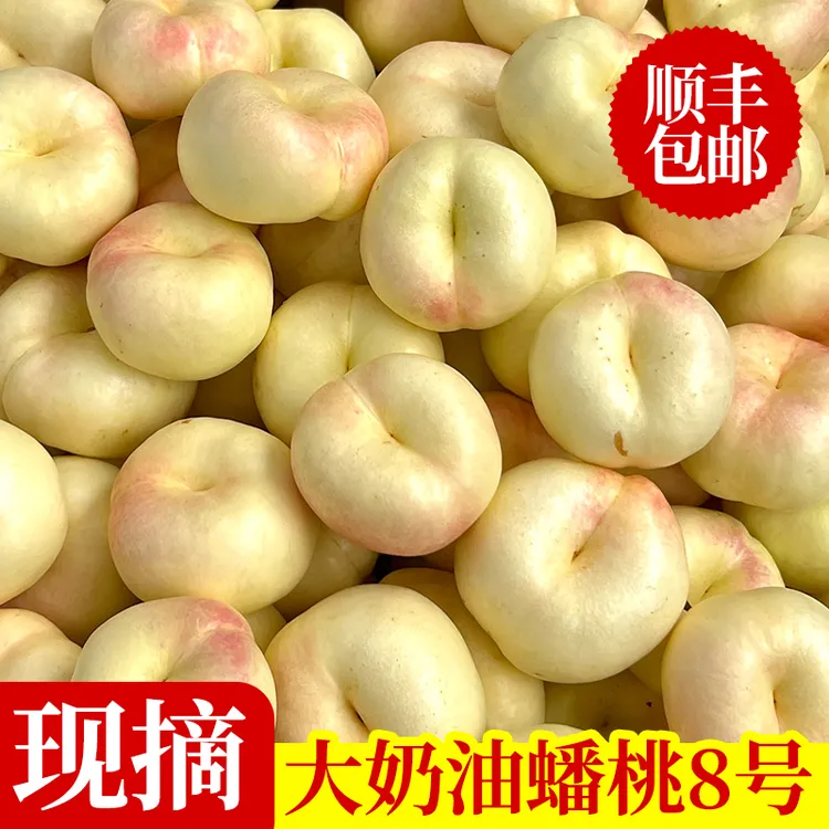 奶油蟠桃稀有品种4斤蒙阴产地蜂蜜味奶油白蟠桃子