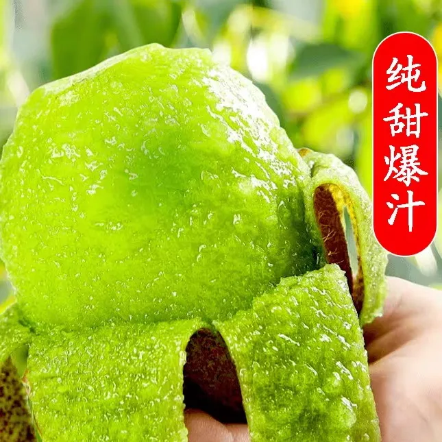 雅猕八号猕猴桃硬果即食无需催熟直接吃香甜