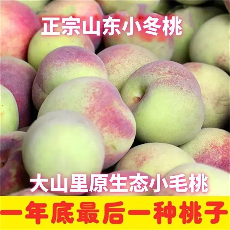 新鲜脆甜冬桃山东桃子青州蜜桃小毛桃当季应季水果现摘