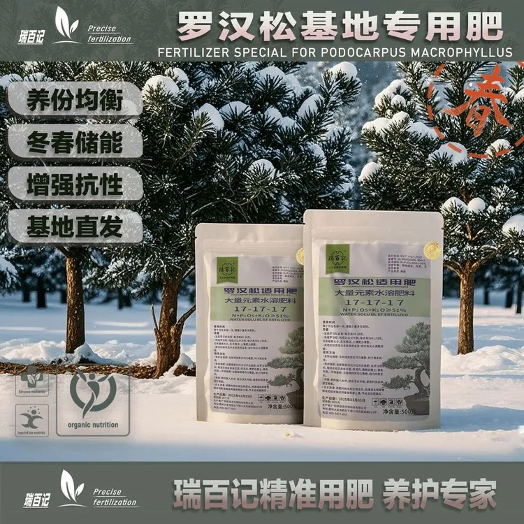 瑞百记罗汉松专用肥进口原料不烧根罗汉松防黄枯落新包装