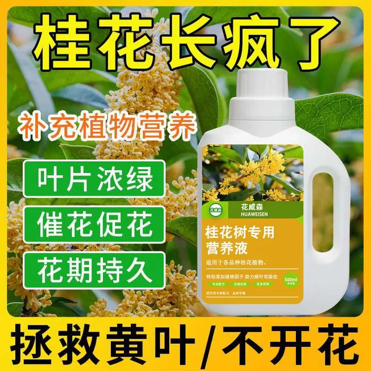 桂花专用营养液促花肥盆栽植物通用金桂银桂四季桂花树肥料专用肥