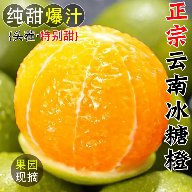 正宗云南哀牢山青皮冰糖橙新鲜水果3-9斤当季超甜大现摘爆汁橙子