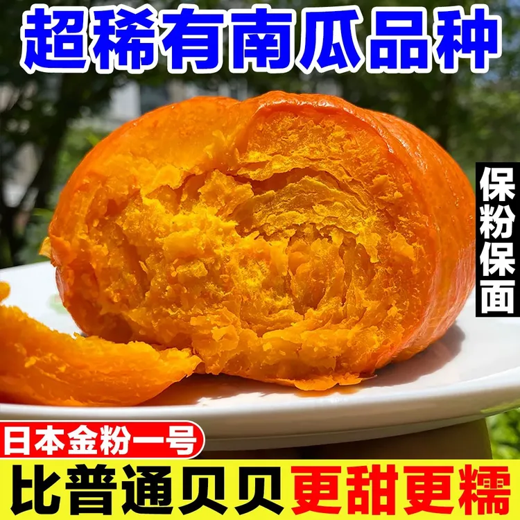 红贝贝金贝贝粉南瓜正宗板栗味粉面糯甜适合宝宝辅食