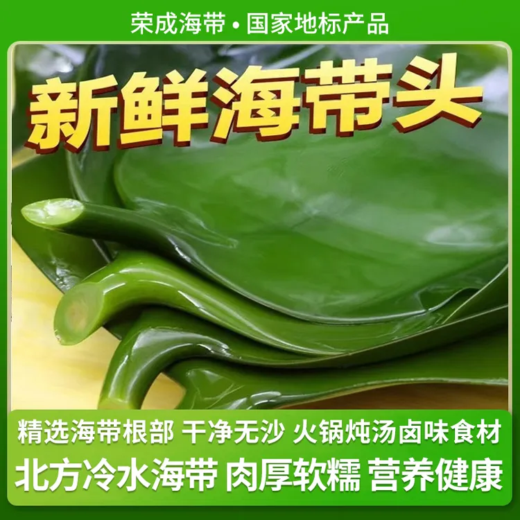 （5斤批发）盐渍海带头荣成海带根肉厚新鲜食材凉拌炖汤炒菜火锅