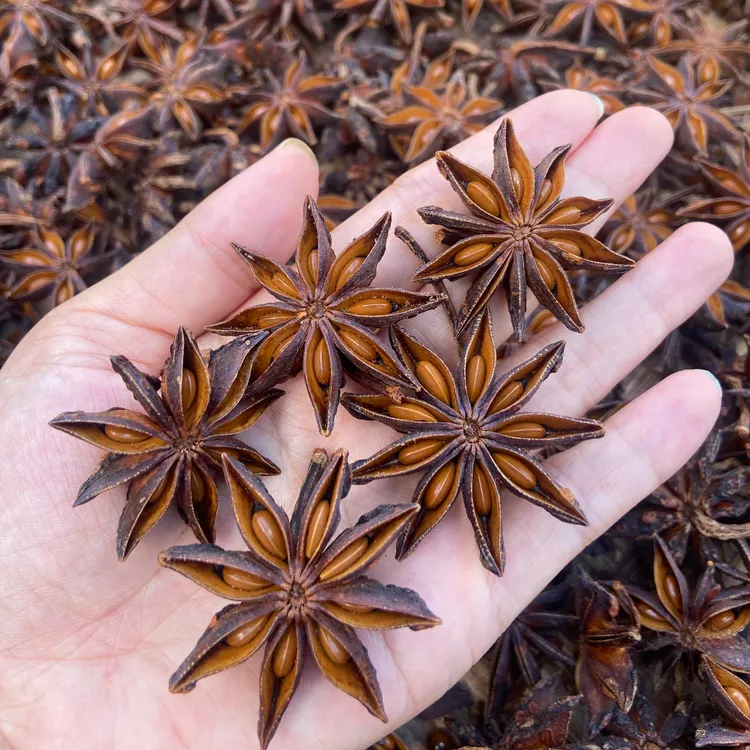 大红八角-广西深山老树八角足干无硫调味料家用烹饪卤料天然香味
