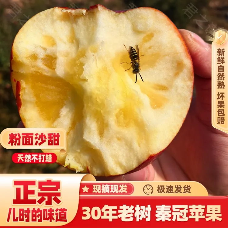 沙粉面甜苹果秦冠陕西10斤刮泥香红蛇牛老人婴儿新鲜水果脆粉两吃