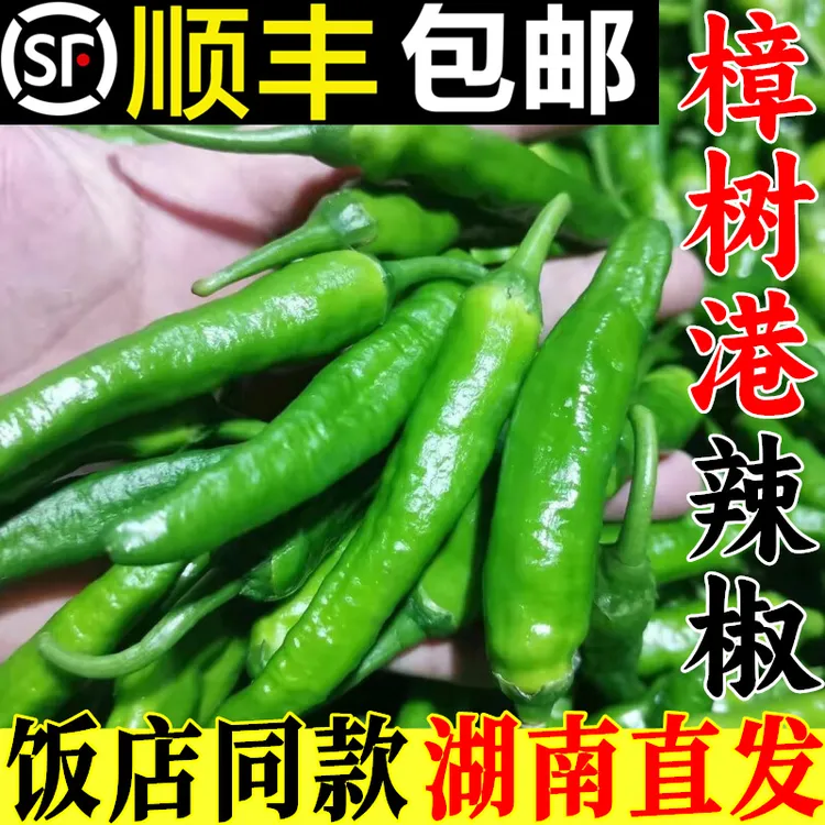 顺丰樟树原种青辣椒新鲜5斤微辣薄皮嫩港青椒湖南岳阳特产章树镇3