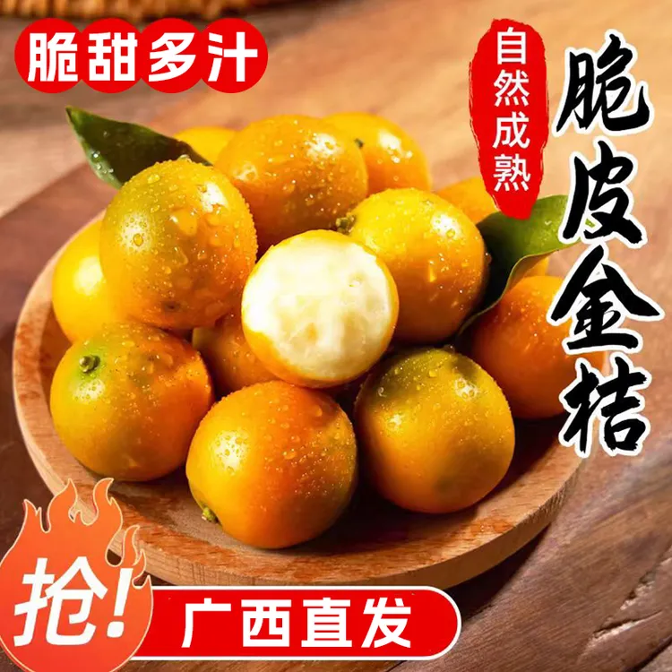 广西脆皮金桔无酸不涩新鲜水果当季现摘产地直发应季多汁