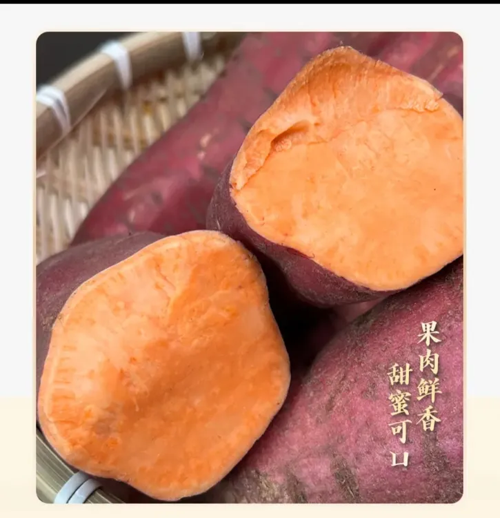 【小斌】新鲜现挖正宗西瓜红红薯香甜软糯