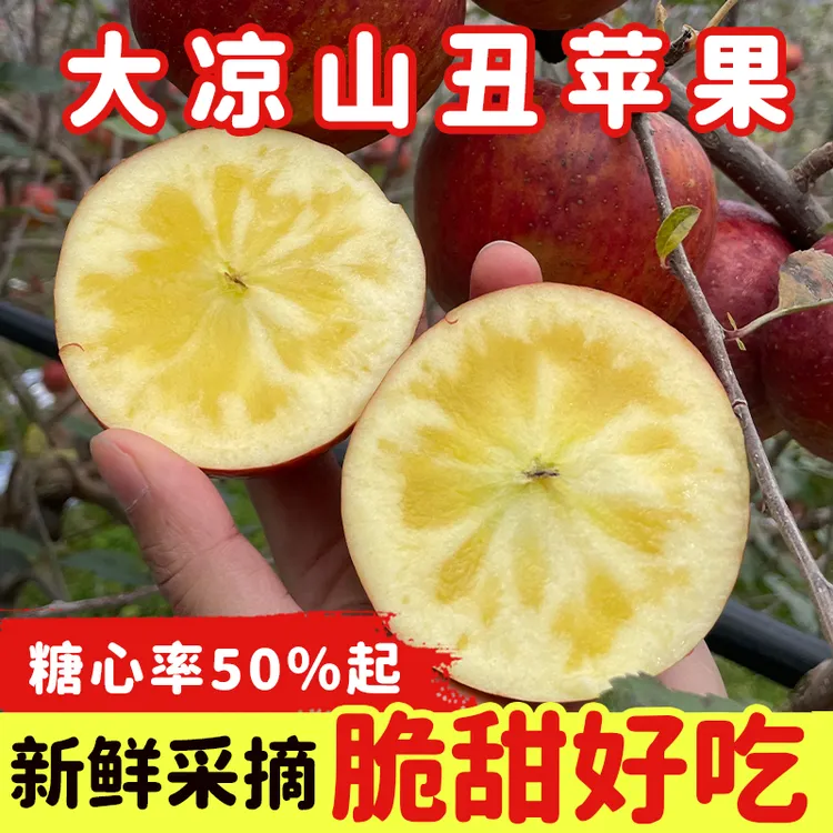 正宗大凉山丑苹果盐源糖心苹果当季现摘产地直发新鲜水果J