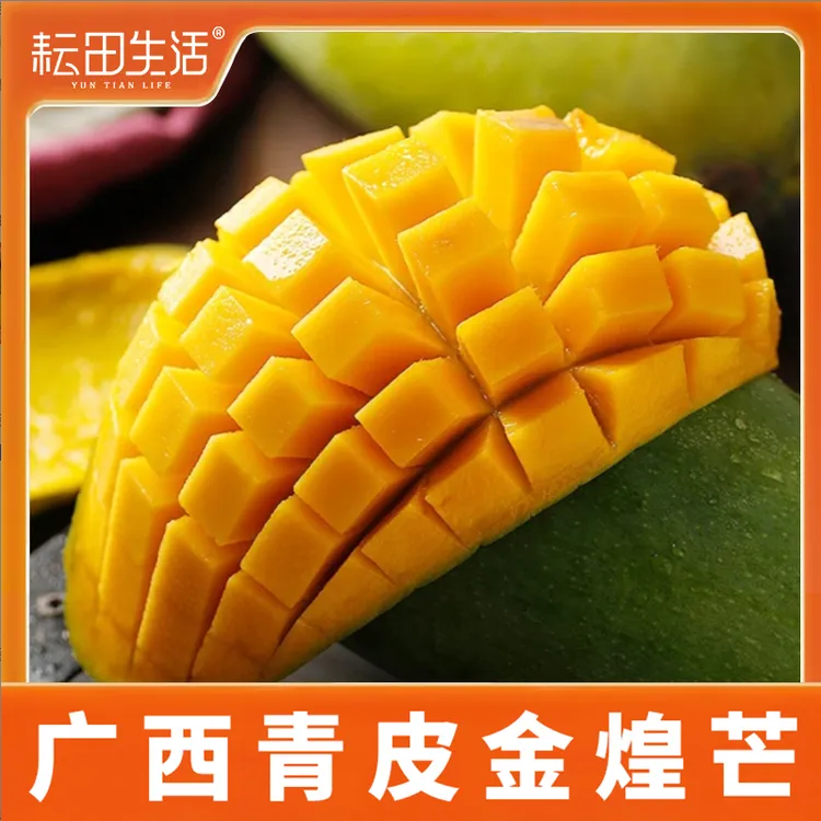 金煌芒果广西直发8斤当季水果桂七新鲜采摘整箱现摘