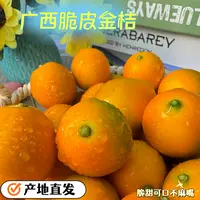 广西脆皮金桔滑皮金桔当季水果纯甜无酸不麻嘴果园现摘现发包邮