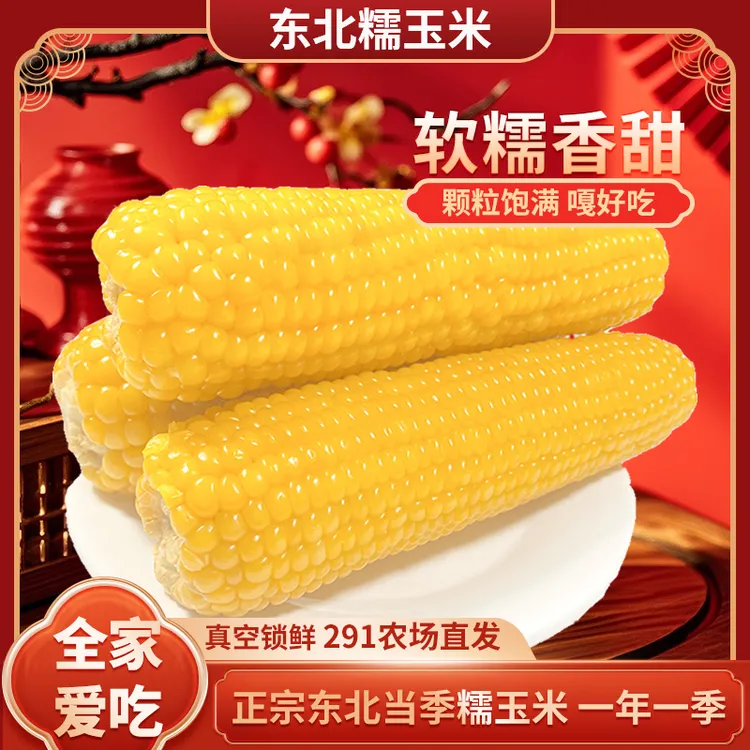 糯9  2025头茬东北黄糯玉米新鲜甜糯玉米玉米棒东北粘糯玉米