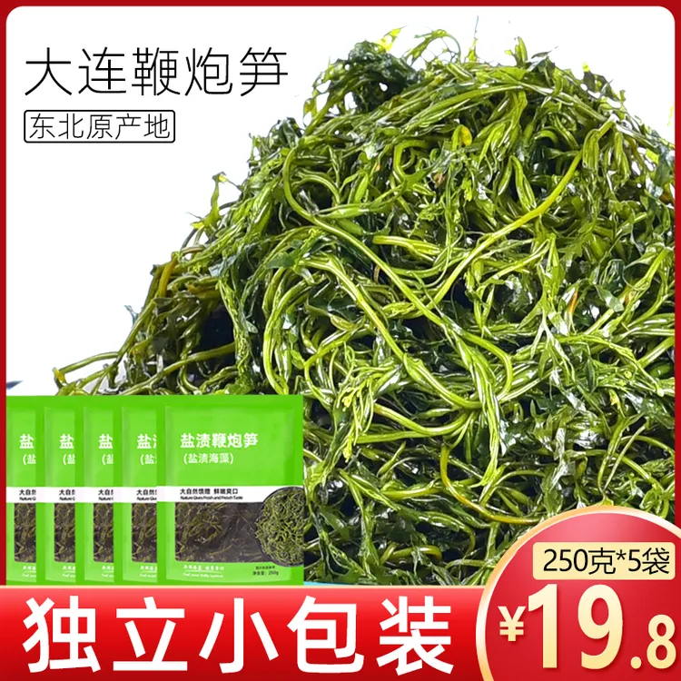 鞭炮笋火锅食材海藻菜羊栖凉拌菜海草火炮菜长寿菜龙须盐渍马尾藻