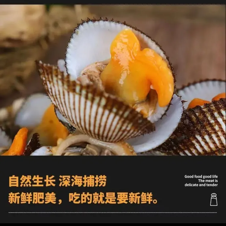 大连活鲜小赤贝 毛蛤 美味海鲜4斤装赤身品质毛蚶 顺丰包邮