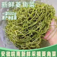 【吴大姐专属】菱角菜凉菜新鲜采摘安徽特产南漪湖水生野生菱角500g