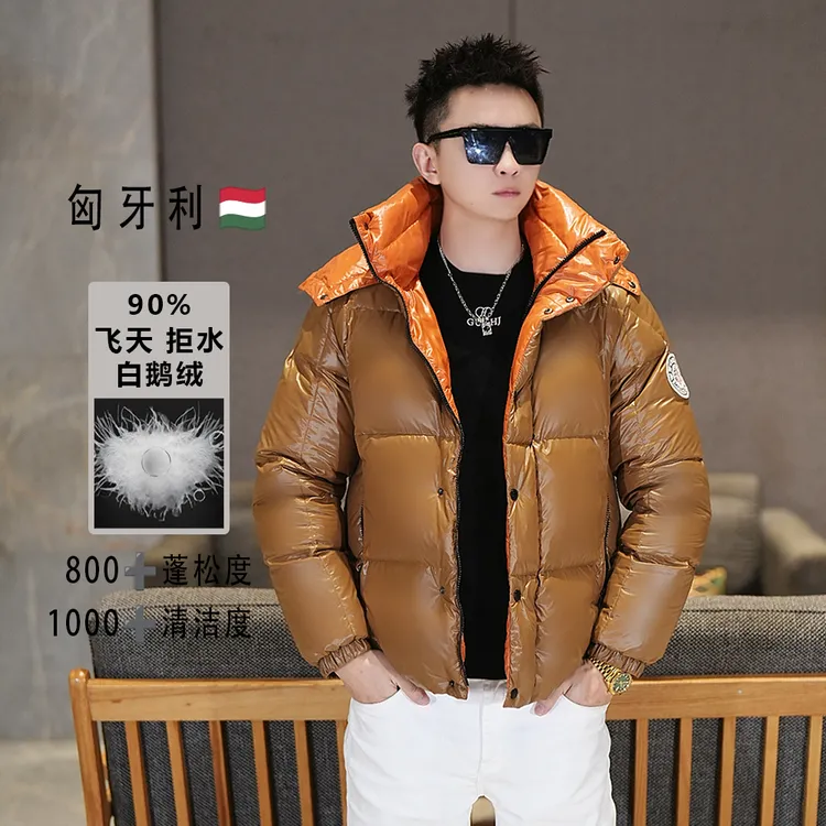 【大黑金匈牙利进口90鹅绒】立领连帽羽绒服百搭轻奢修身男保暖外套
