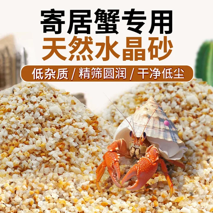 天然海沙寄居蟹专用沙水草螃蟹底沙石乌龟铺底纯天然流沙鱼缸底砂