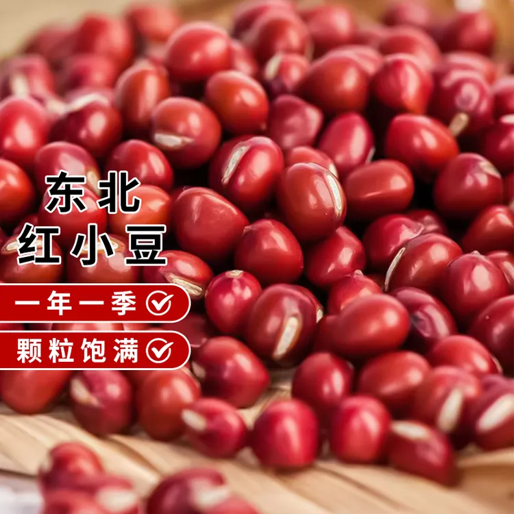 【25年新货】东北新红豆可煮红豆汤红豆沙 颗粒饱满出沙率高