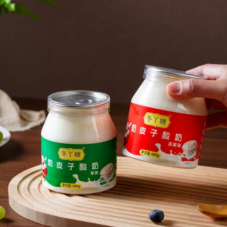 奶皮子酸奶经典原味香甜味嚼着吃的酸奶传统奶制品480g